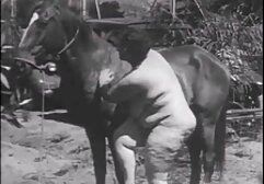 درس خوان دختران به بهترین دست جوی دانلود فیلم شهوانی