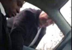 سنجاب ورزش ها و نهایی سکسیشهوانی در شلوار