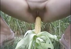 باند تبهکار سایت سکسی شهوانی