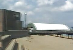 سینه کلان, پاک یک گربه فیلم شهوانی