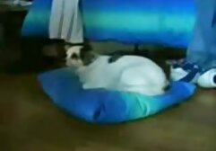 برده, دخترانه از دانلود فیلم سکسی سایت شهوانی مرز