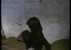 چینی, سهام, 3.2 سایت داستان سکسی شهوانی